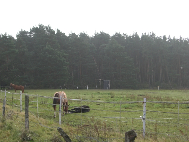 CTF Celle Strecke 067